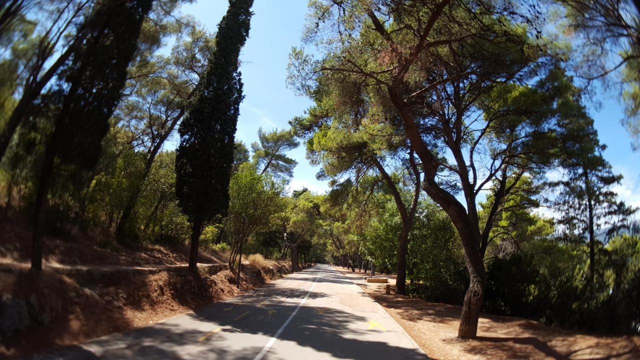 Villa Branko 스플리트 외부 사진